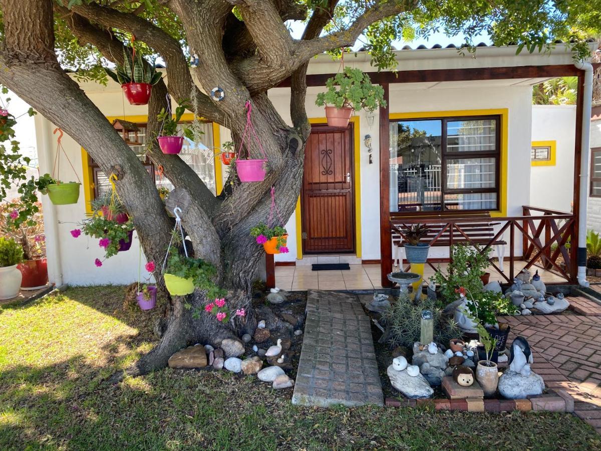Hermanus 60 On Flat Buitenkant foto